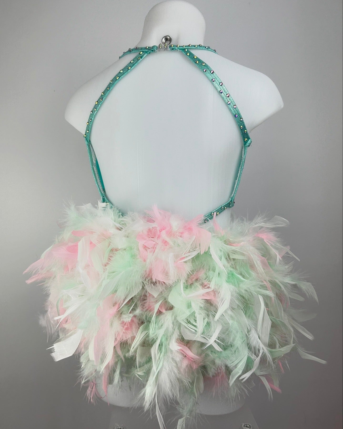 Mint Shine & Pink Feather Show Costume