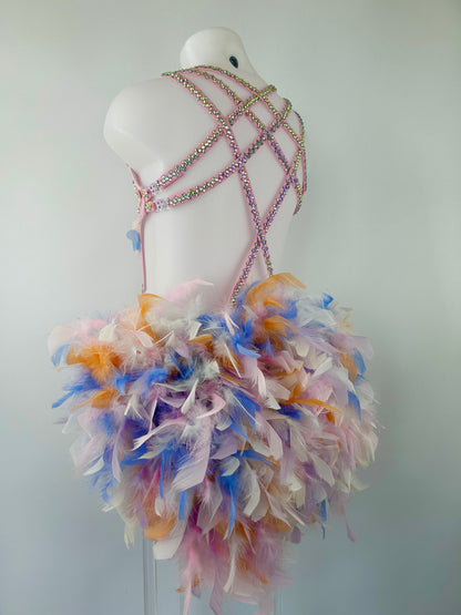 Pink Feather Show Costume