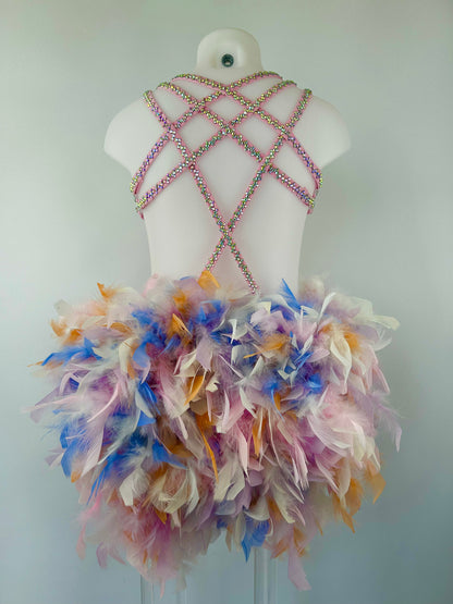 Pink Feather Show Costume