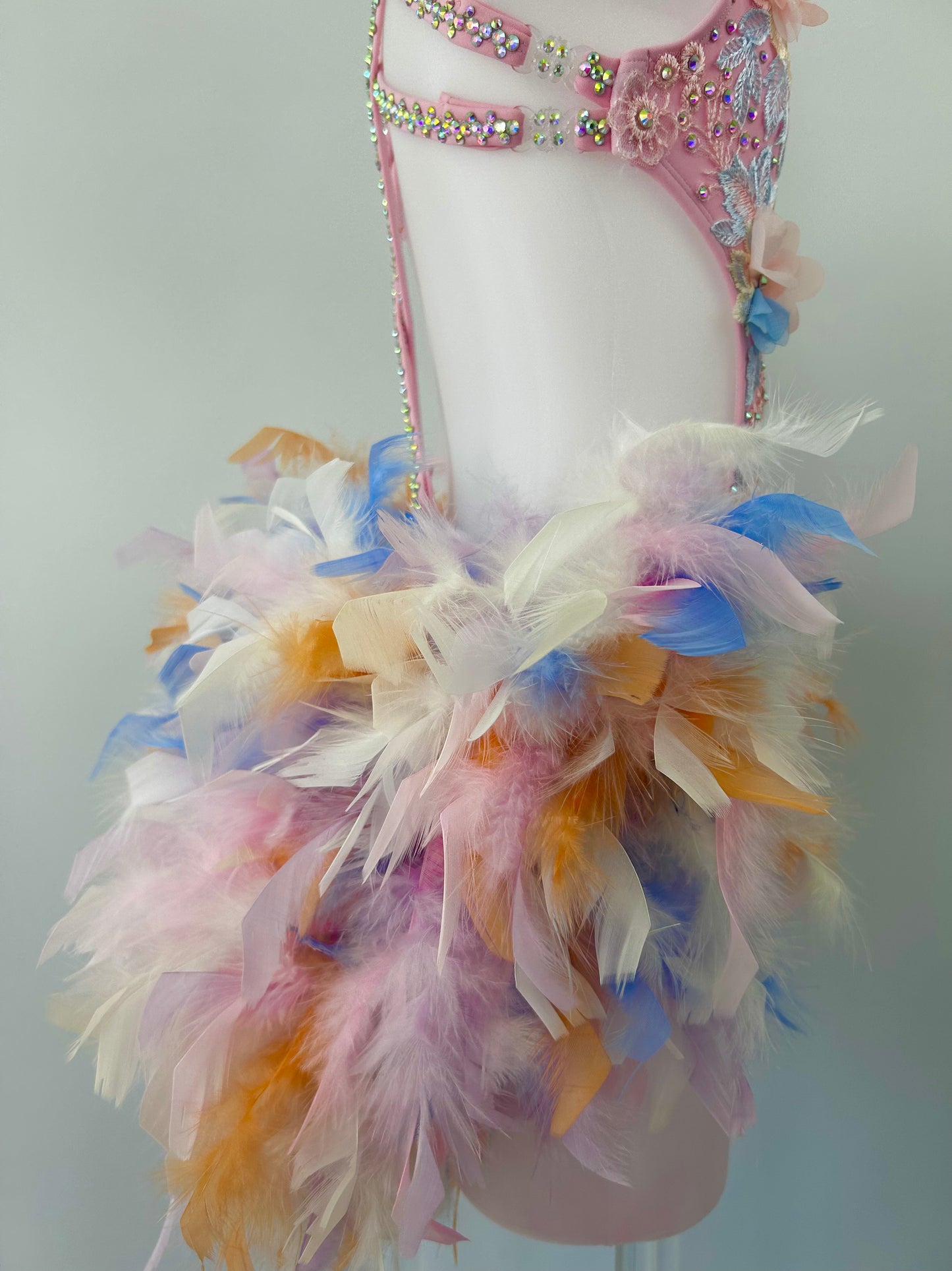 Pink Feather Show Costume